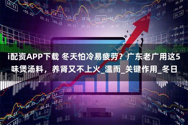 i配资APP下载 冬天怕冷易疲劳？广东老广用这5味煲汤料，养肾又不上火_温而_关键作用_冬日