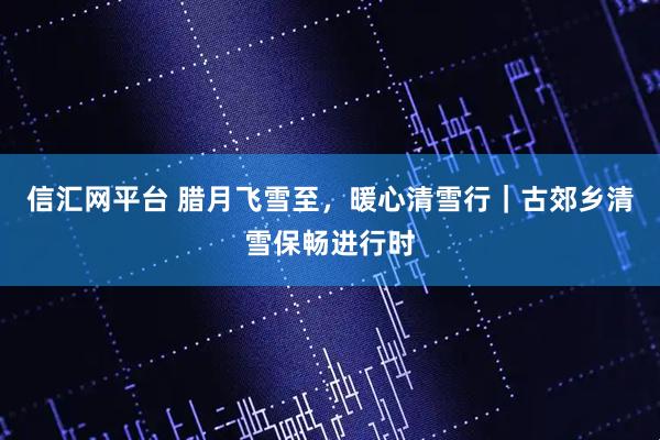 信汇网平台 腊月飞雪至，暖心清雪行｜古郊乡清雪保畅进行时