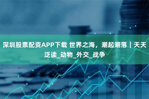 深圳股票配资APP下载 世界之海，潮起潮落｜天天泛读_动物_外交_战争