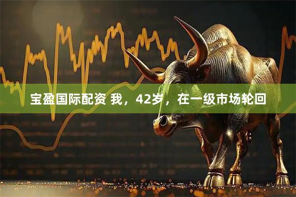 宝盈国际配资 我，42岁，在一级市场轮回