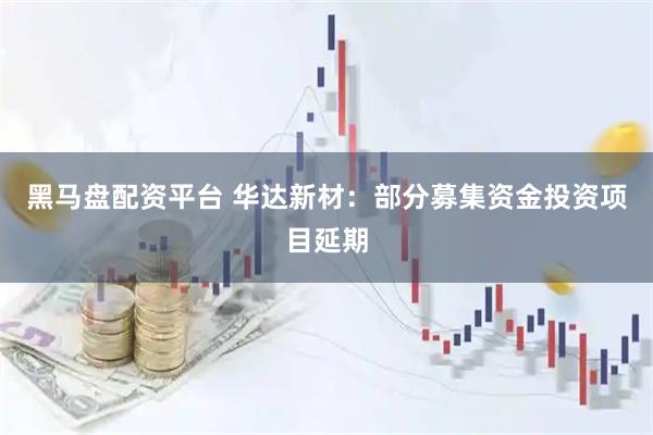 黑马盘配资平台 华达新材：部分募集资金投资项目延期